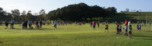 Moore Park Oval